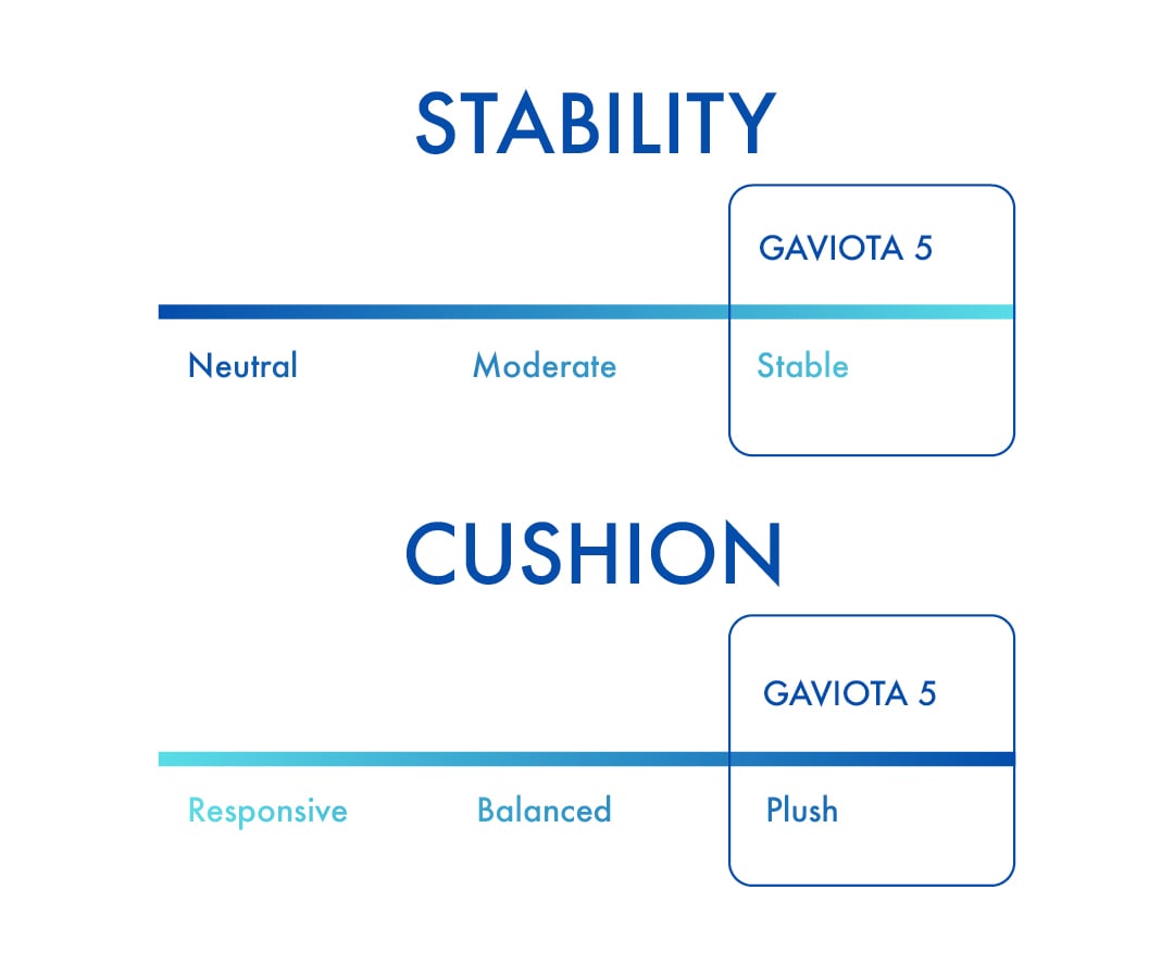 Gaviota 5