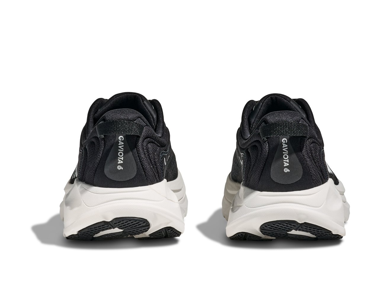 Gaviota 6 Wide